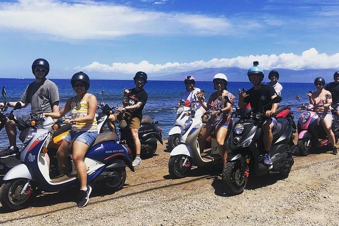 Single Passenger Moped/Scooter - 18+ NO Motorcycle License Needed - Beaches, waterfalls, villages, and the blowhole