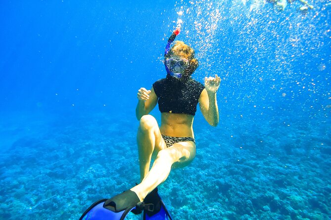 Small Group Coral Gardens Snorkel & Waterslide Adventure - The slide is a feature, not a small extra