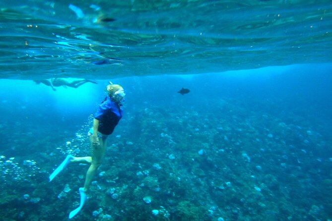 Small Group Coral Gardens Snorkel & Waterslide Adventure - Is $130.95 a fair price?