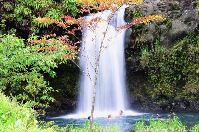 Small-Group Luxury Tour: Road to Hana and Ka'eleku Cavern Day Trip - Ke’anae Point and the first taste of old Maui