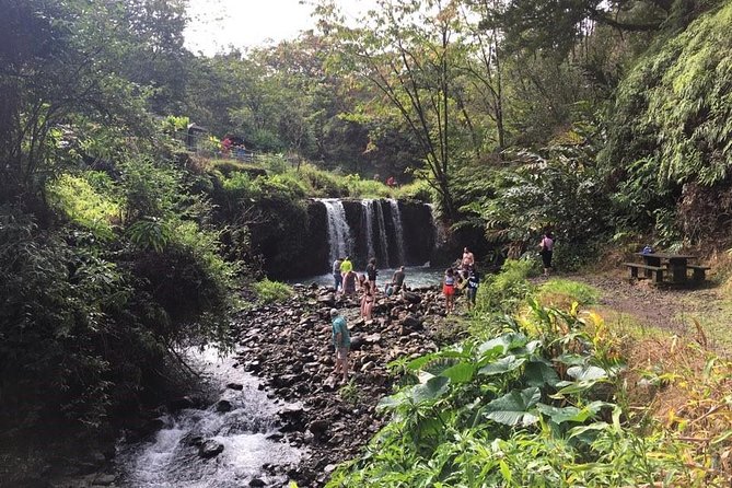 Small-Group Road to Hana Adventure Tour with Pickup & Lunch - Waterfalls, bamboo, and the rhythm of the highway