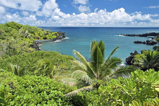 Small-Group Road to Hana Adventure Tour with Pickup & Lunch - Food, comfort, and the value of $209.99