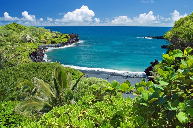 Small-Group Road to Hana Luxury Tour - Keʻanae Point, taro fields, and raw volcanic shoreline