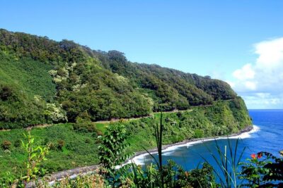 Small-Group Road to Hana Luxury Tour