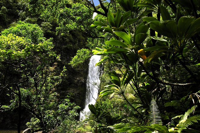 Small-Group Road to Hana Luxury Tour - Waiʻanapanapa State Park and Maui’s black sand coast