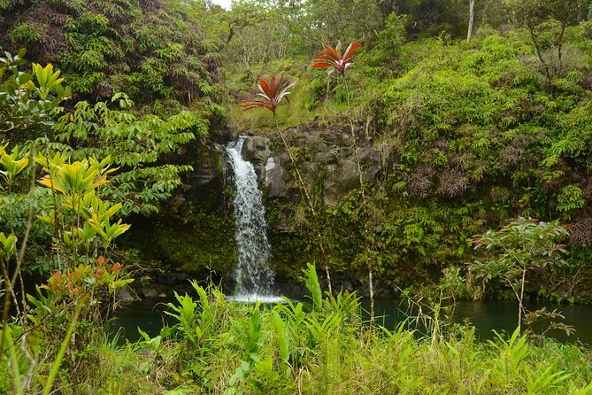 Small-Group Road to Hana Luxury Tour - Food choices: Picnic or Ultimate