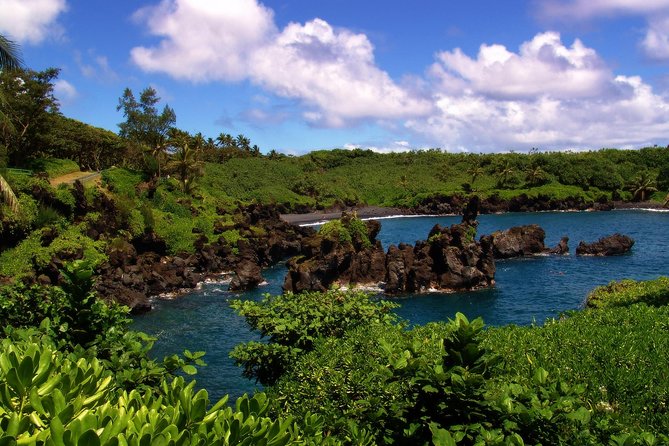 Small-Group Road to Hana Luxury Tour - The guides are a big part of the value
