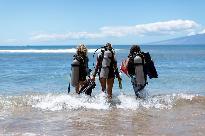 Small-Group Shark and Turtle Dive for Certified Divers - Why Mala Wharf is such a special Maui site