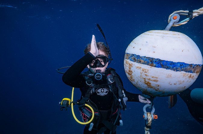 Small-Group Shark and Turtle Dive for Certified Divers - The shore entry is the main physical challenge