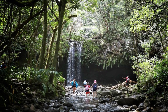 Small Group Waterfall and Rainforest Hiking Adventure on Maui - Entering the rainforest valley