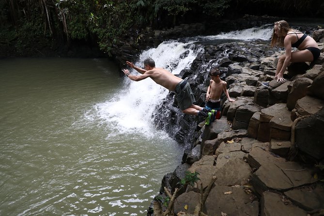 Small Group Waterfall and Rainforest Hiking Adventure on Maui - Why the guide may be worth the price