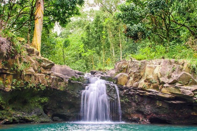 Small Group Waterfall and Rainforest Hiking Adventure on Maui - Who will enjoy this Maui hike most
