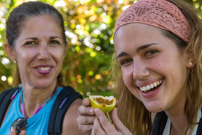 Small Group Waterfall and Rainforest Hiking Adventure on Maui - Should you book this East Maui adventure?