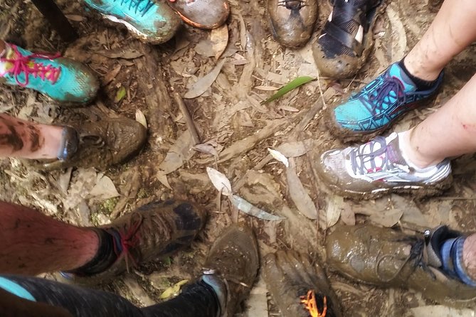 Small Group Waterfall and Rainforest Hiking Adventure on Maui - Learning the food forest one plant at a time