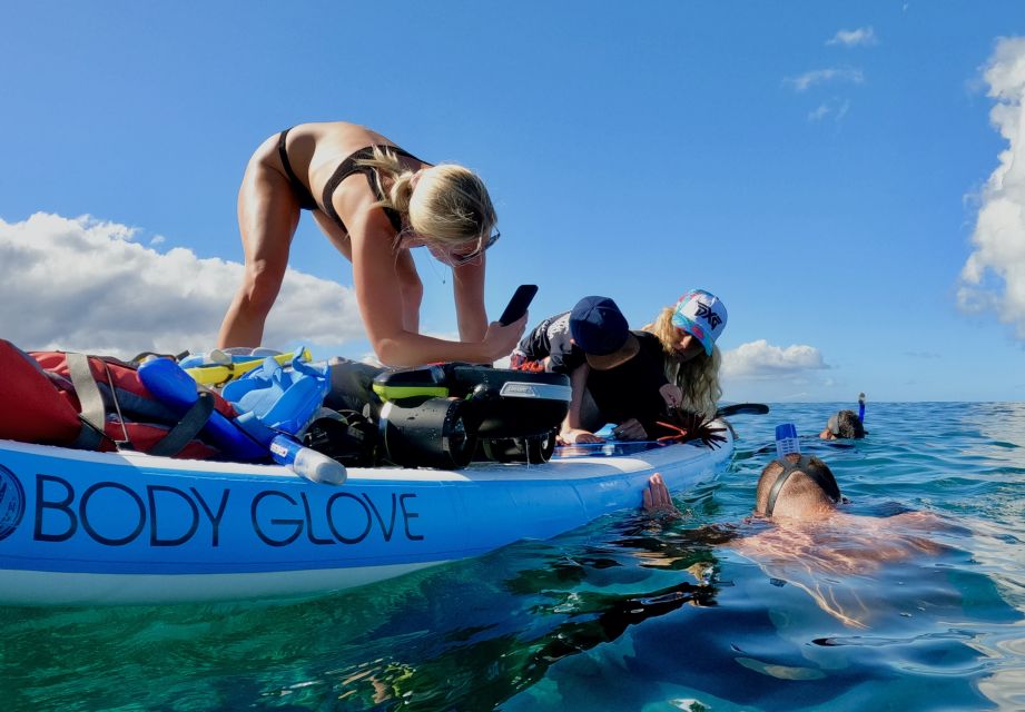 Snorkeling for Non-Swimmers Guided Tour - Wailea Beach - Key points at a glance