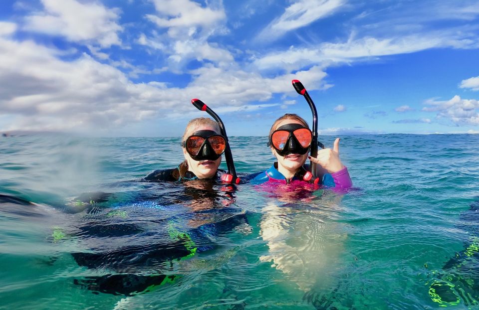 Snorkeling for Non-Swimmers Guided Tour - Wailea Beach - What to consider before you reserve
