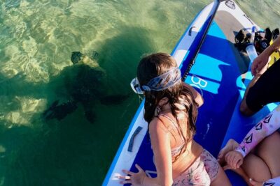 Snorkeling for Non-Swimmers with Photos Guided Tour Wailea Beach