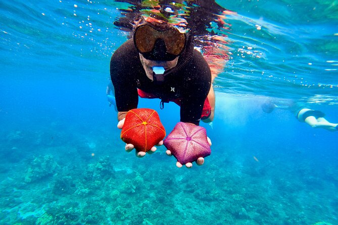 Snorkeling for Non-Swimmers with Photos Guided Tour Wailea Beach - Riding out to fish, coral, and turtles
