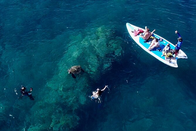 Snorkeling for Non-Swimmers with Photos Guided Tour Wailea Beach - Underwater photos and one small uncertainty