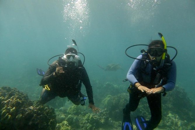 South Maui Discover Scuba Dive - Learning the equipment before leaving shallow water