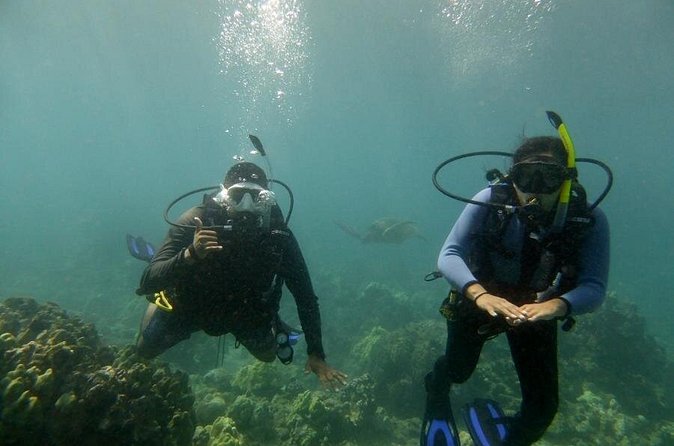 South Maui Discover Scuba Dive - Why the instructor makes the difference