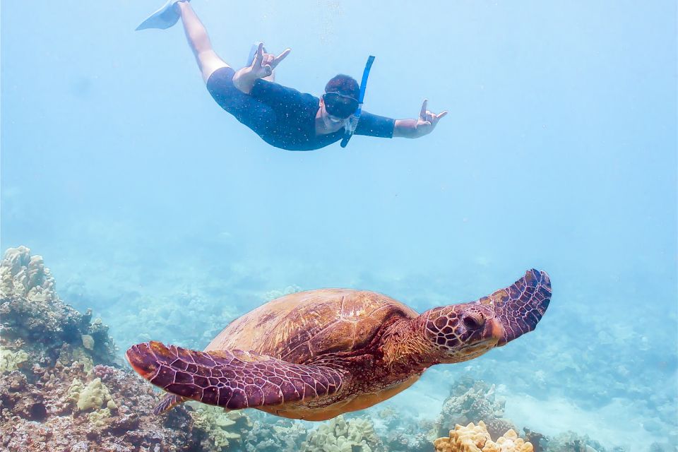 South Maui: Molokini Snorkeling Adventure - Why Molokini Crater is worth the boat ride