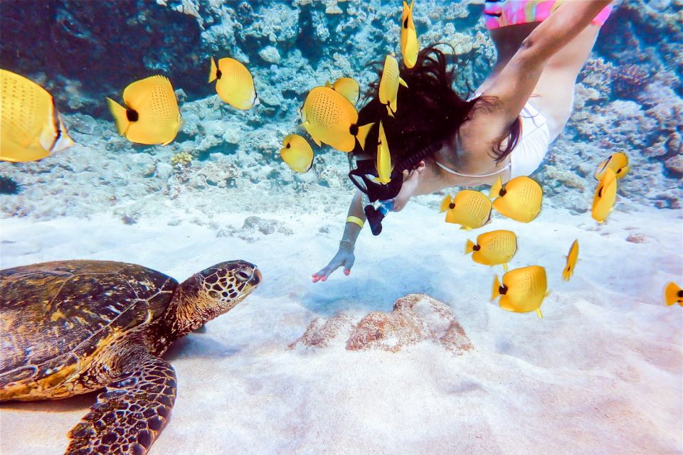 South Maui: Molokini Snorkeling Adventure - What the five-and-a-half-hour schedule feels like