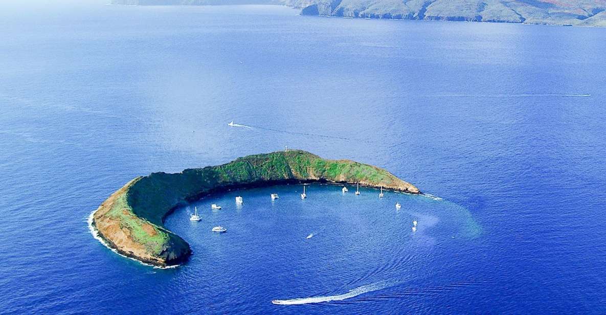 South Maui: Molokini & Turtle Town Snorkeling Tour with Meal - Breakfast turns the crossing into part of the tour