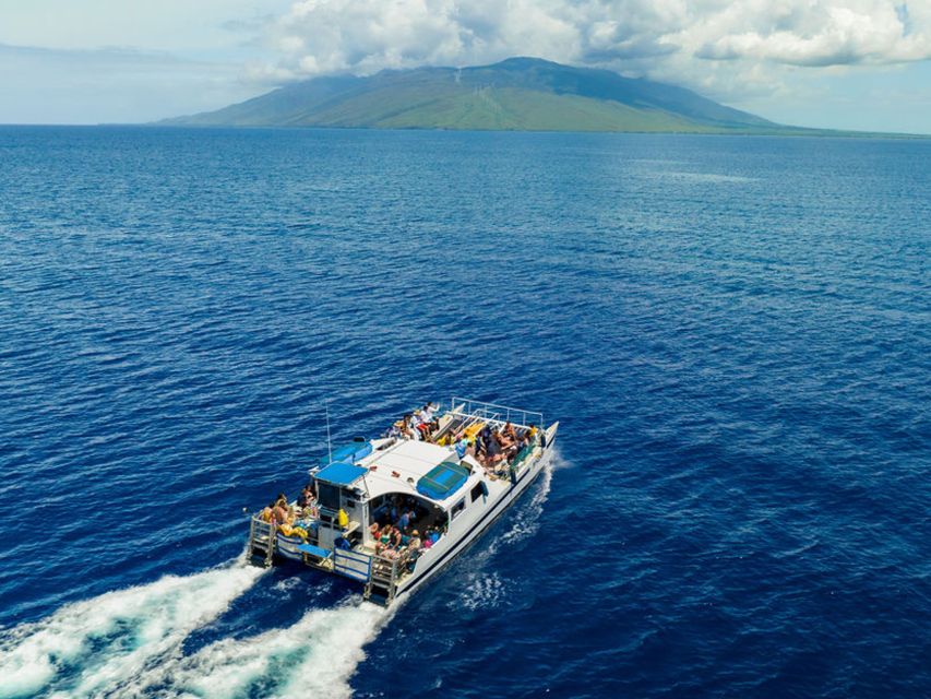South Maui: Molokini & Turtle Town Snorkeling Tour with Meal - Safety and comfort for different ability levels