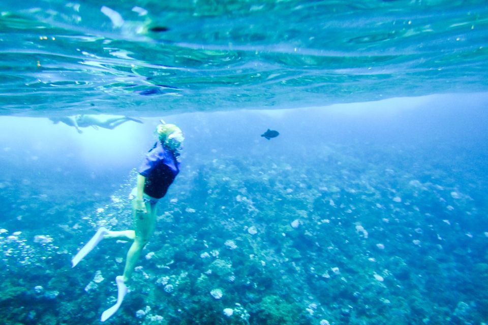 South Maui: Molokini Wild Eco Adventure from Maalaea Harbor - How active is this Molokini tour?