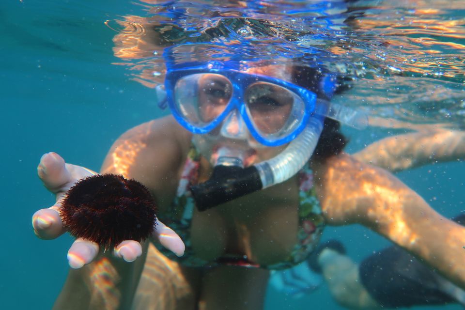 South Maui: Premium Turtle Town Kayak and Snorkel Tour - Paddling the Makena coastline