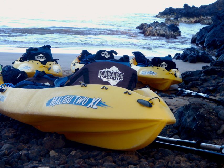 South Maui: Premium Turtle Town Kayak and Snorkel Tour - Snorkeling in Makena Bay’s Turtle Town