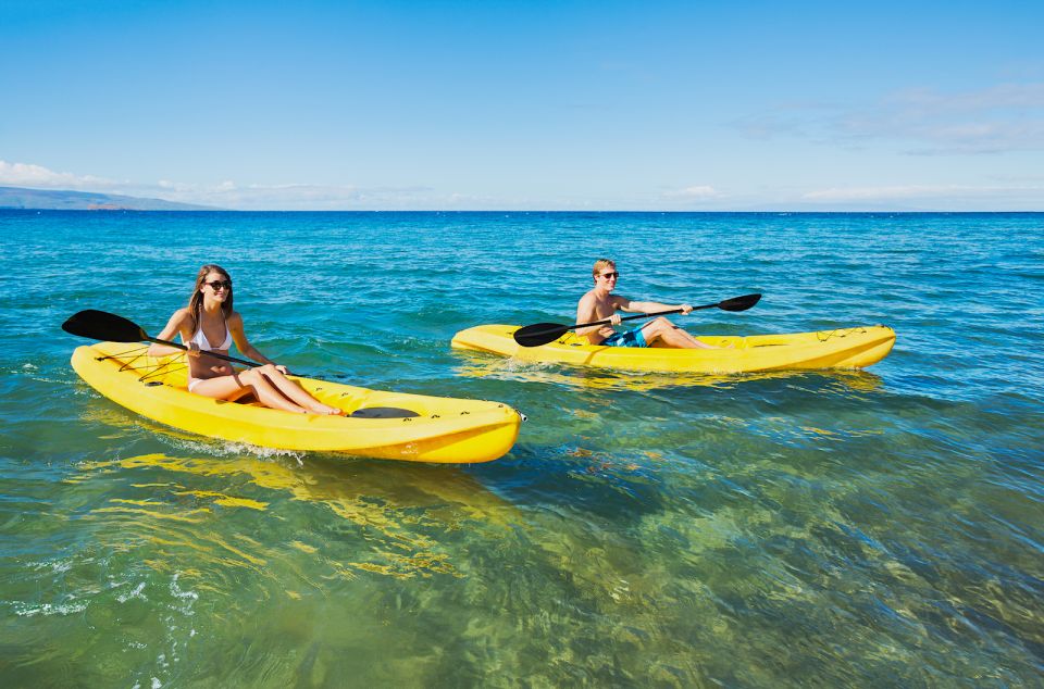South Maui: Premium Turtle Town Kayak and Snorkel Tour - Who should book, and who should think twice