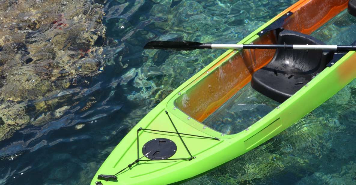 South Maui: Self Guided Clear Bottom Kayak Tour - Seasonal whales and changing sea conditions