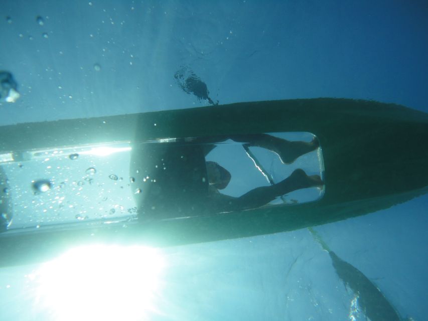 South Maui: Self Guided Clear Bottom Kayak Tour - Seeing turtles without chasing them