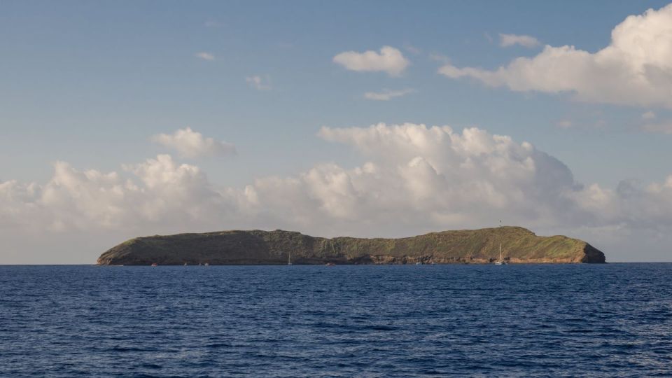 South Maui: Snorkel to Coral Gardens or Molokini Crater - Coral Gardens: the practical alternative