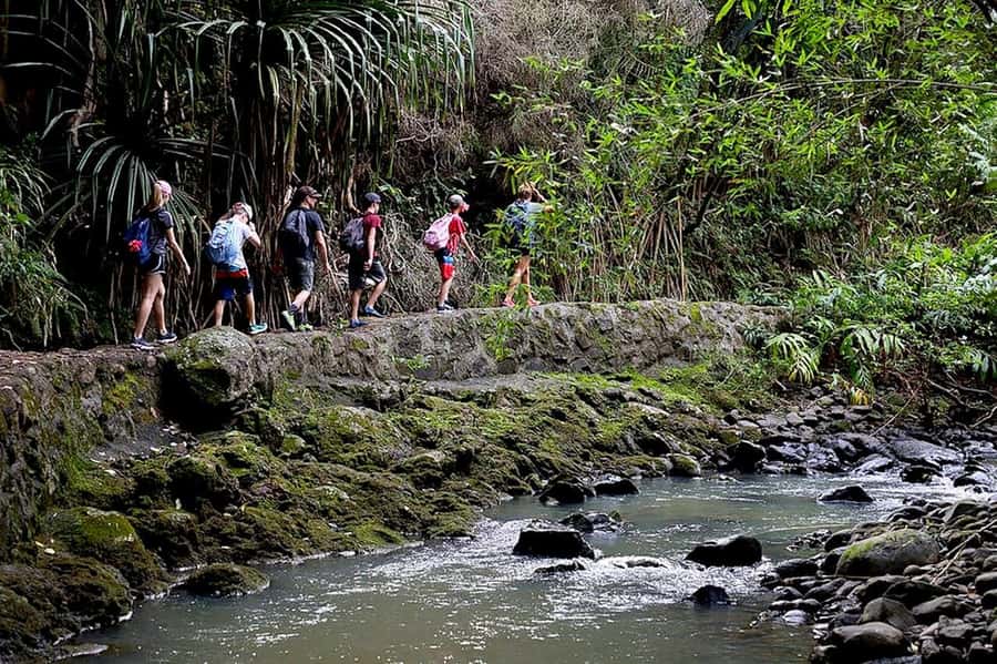 South Maui: Waterfall Tour w/ Kayak, Snorkel, and Hike - Who will enjoy this tour most