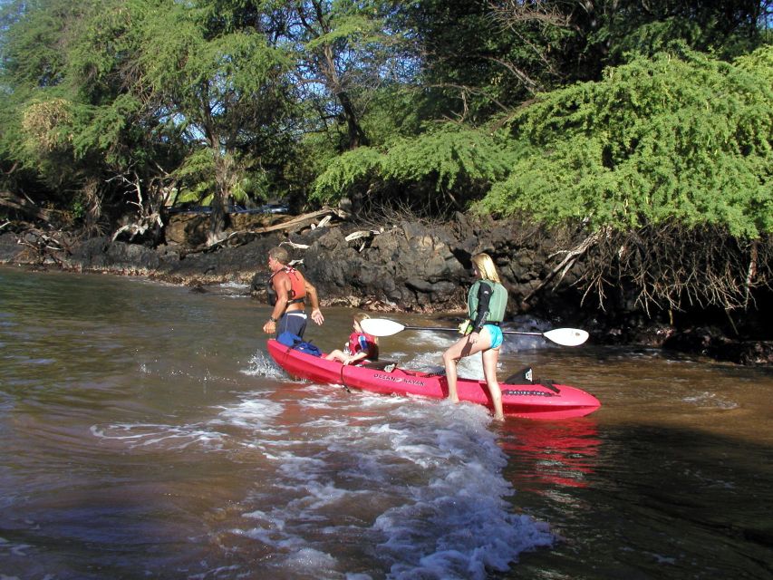 South Maui: Whale Watch Kayaking and Snorkel Tour in Kihei - Paddling into whale country
