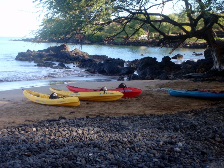 South Maui: Whale Watch Kayaking and Snorkel Tour in Kihei - The guides make a real difference