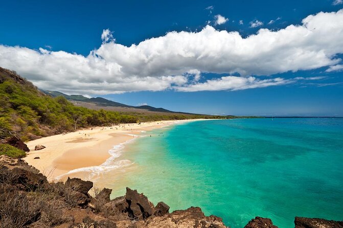 South Shore Turtle Kayak and Snorkel Experience - Key Points to Know Before You Book