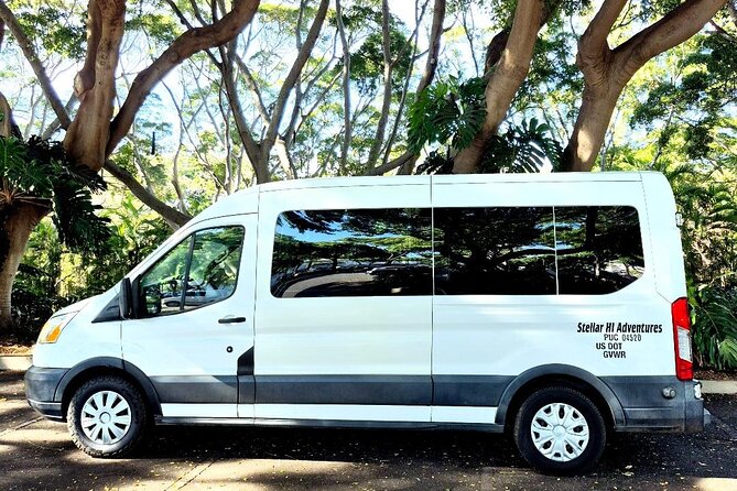 Stellar HI Tours- 15 person van-your own private tour to Hana! - Secret Beach and Hookipa: turtles and powerful surf