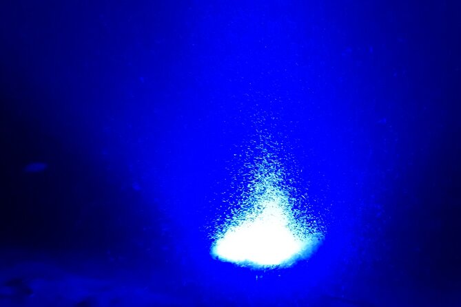 Sunset/Glow Clear Kayak Tour in Olowalu - When the reef lights up