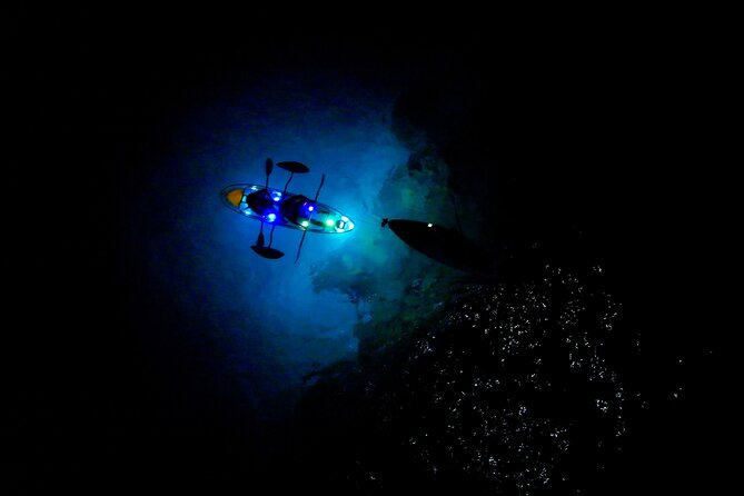 Sunset/Glow Clear Kayak Tour in Olowalu - What the $239 price includes