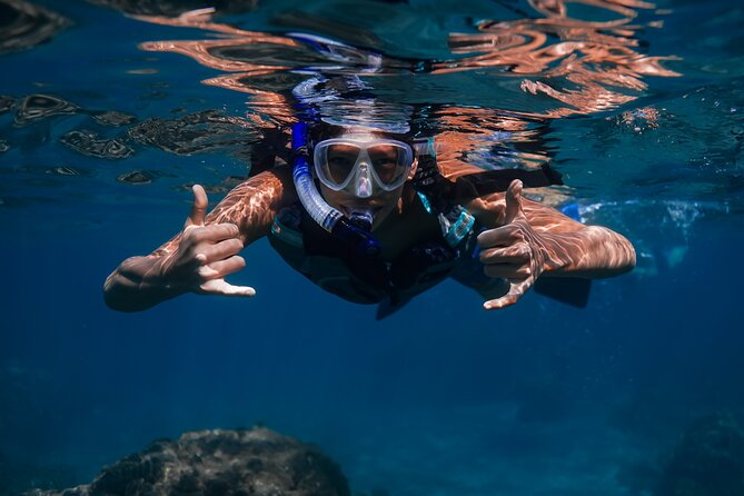 Sunset Glow Snorkel At Turtle Town With Photo & Video - Turtle Town and the evening turtle routine