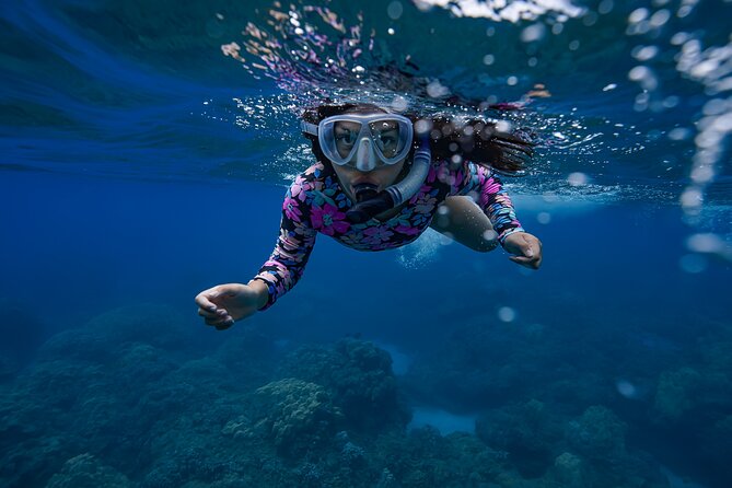 Sunset Glow Snorkel At Turtle Town With Photo & Video - Safety, comfort, and the limits of the format
