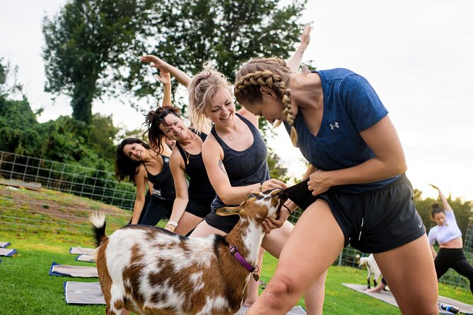 Sunset Maui Goat Yoga with Live Music - Why this Kula sunset session is different