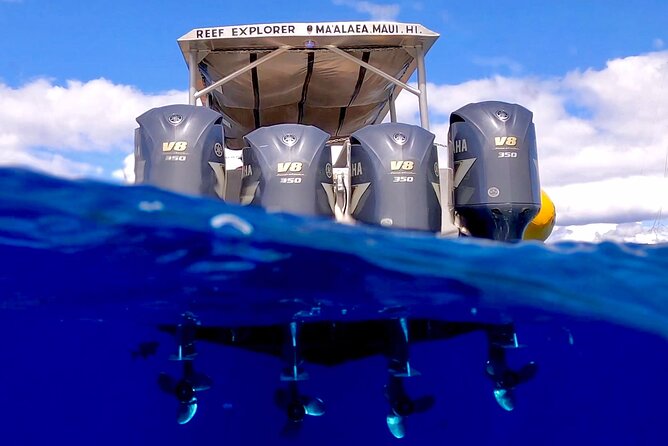 Super Raft - Private Charter Maui 3 Hour Snorkel to Coral Gardens or Molokini - The crew makes a difference for families