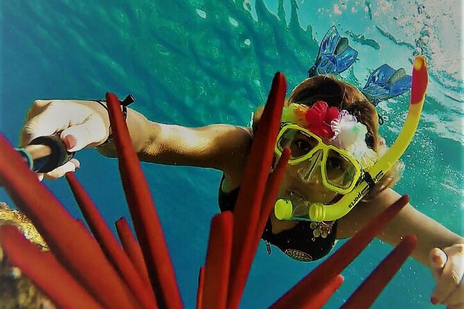 Super Raft - Private Charter Maui 3 Hour Snorkel to Coral Gardens or Molokini - Is $2,866.67 a fair price?