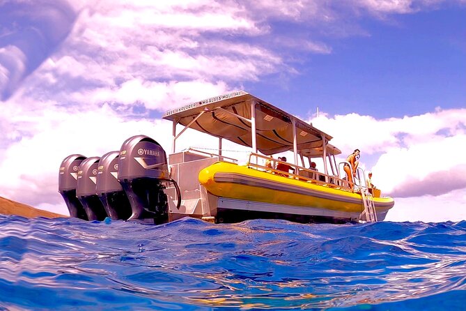 Super Raft - Private Charter Maui 3 Hour Snorkel to Coral Gardens or Molokini - Who will enjoy this most?