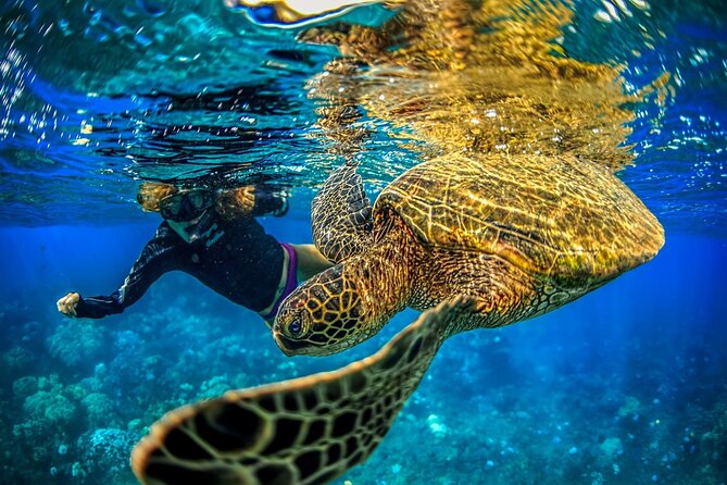 Super Raft - Private Charter Maui 3 Hour Snorkel to Coral Gardens or Molokini - Molokini Crater and its sheltered reef